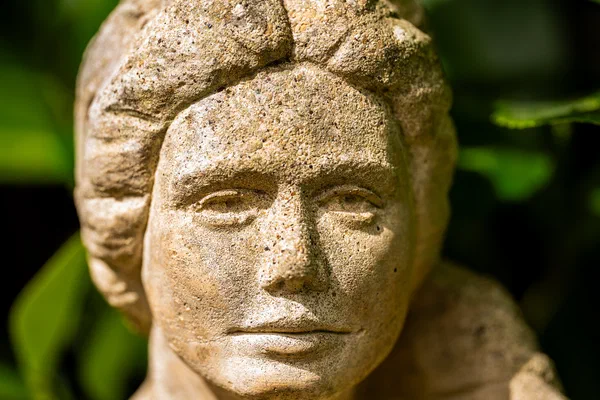 Garden detail